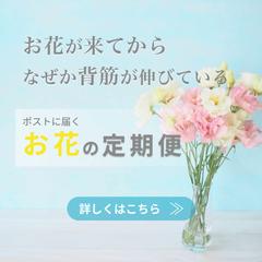 【クライアントワーク】お花の定期便サービス②