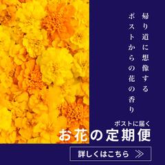 【クライアントワーク】お花の定期便サービス③