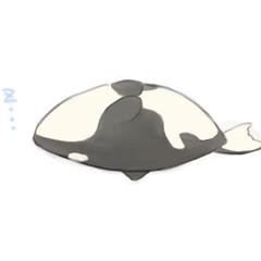 寝るシャチのイラスト