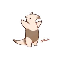 コアリクイのイラスト