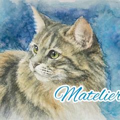青とマンチカンシリーズです