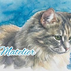 青とマンチカンシリーズです