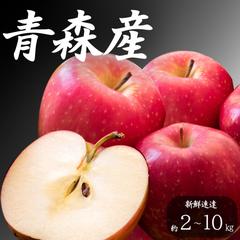 10分で簡易ポートフォリオ