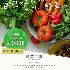 野菜宅配サービス チラシデザイン