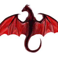 上から見たドラゴン