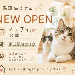 保護猫ｶﾌｪ NEW OPEN ﾊﾞﾅｰ