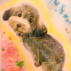 わんちゃん