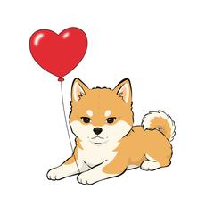 柴犬