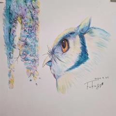 水性イラスト アフリカオオコノハズクと藤の花