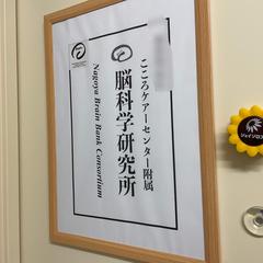 医学的視線からの勉強