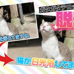 微妙な「あの感じ」から卒業