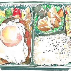 弁当　イラスト
