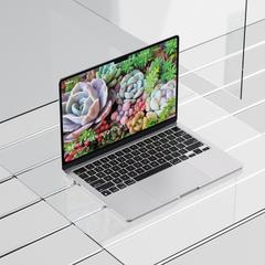 観葉植物専門店 Monopot