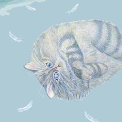 待ち受け（キジトラ・）