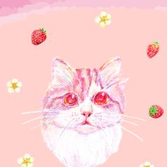 待ち受け（キジトラ・イチゴ）