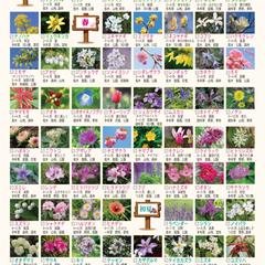 お花のリスト表