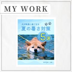 Instagram投稿用画像｢犬の暑さ対策｣