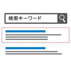 Web広告運用実績