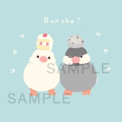 文鳥さんイラスト　