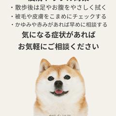 ペットサロン向けSNS投稿デザイン