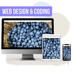 ブルーベリー農園さま