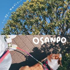 インスタ投稿用