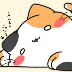 ねこ