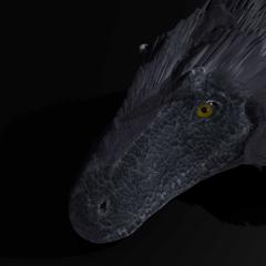 ユウティラヌスのリアル3Dモデル