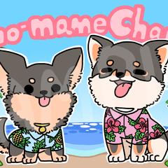 動画サムネ用イラスト