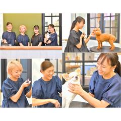ペットサロン【写真撮影】