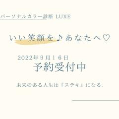 インスタ広告＆運用代行　実績