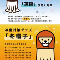 犬用、冬帽子