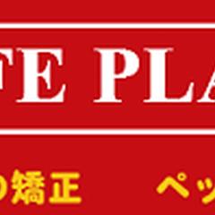 ドッグライフプランナーズ 福岡校のホームページ作成
