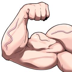 ムキムキ腕