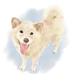 友人への贈り物