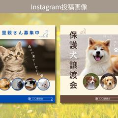 Instagramフィード投稿