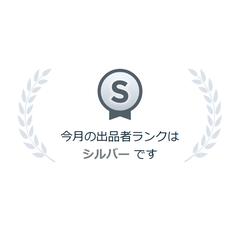 シルバーランク再昇格