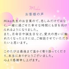 【お客様レビュー】