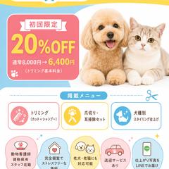 ペットサロンWan to Nyan様のチラシ制作