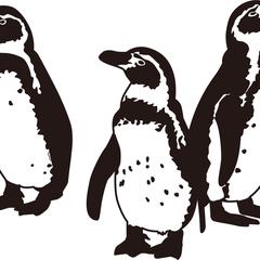 ペンギンのトレース（白黒）