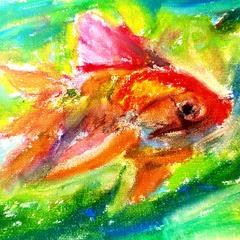 金魚