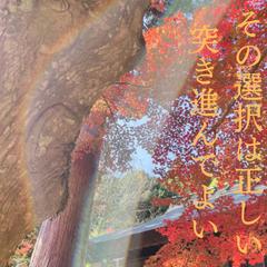 龍神様より必要なメッセージを龍神フォトに書いて送ります