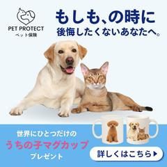 ［架空案件】ペット保険のバナー