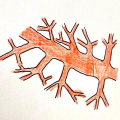 毛細血管と血管を修復して保護するヒーリング絵