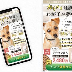 ドッグフードLP_FVデザイン
