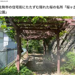 生駒のおすすめスポットの紹介記事