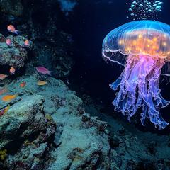 AI生成の水中世界