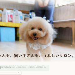 ドッグサロンのホームページ制作