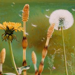 油彩画『まどろみ』