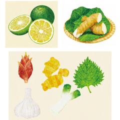 食品メーカー様　シュリンクボトル用イラスト
